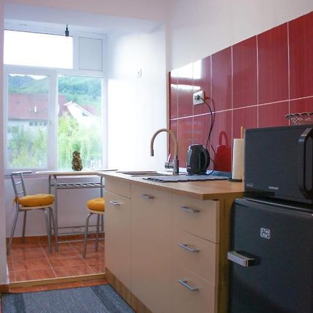 Vlad'S Downtown Apartment Petrila Екстериор снимка