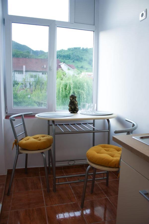Vlad'S Downtown Apartment Petrila Екстериор снимка
